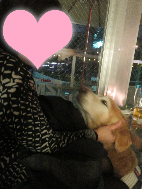 ファイル 5613-3.jpg