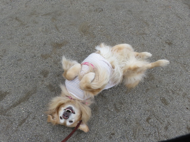 ファイル 5614-2.jpg