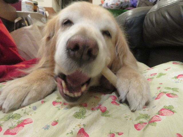 ファイル 5614-3.jpg