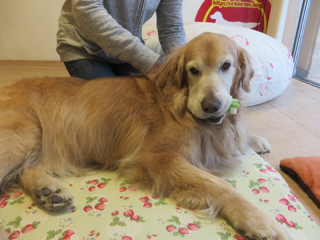 ファイル 5616-3.jpg