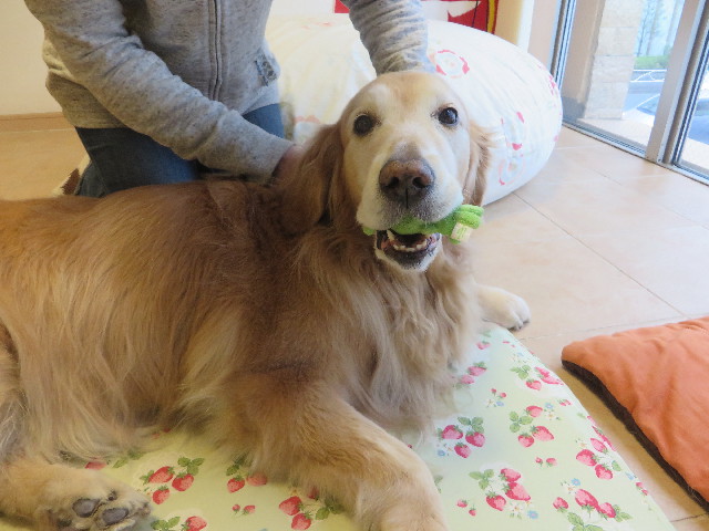 ファイル 5616-4.jpg