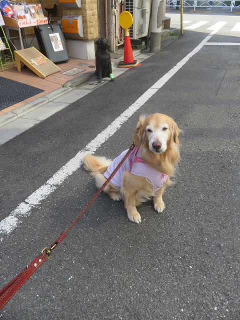 ファイル 5619-2.jpg