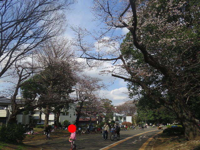 ファイル 5619-3.jpg