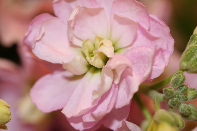 ファイル 562-2.jpg