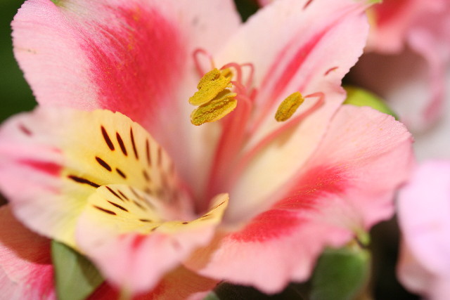 ファイル 562-3.jpg