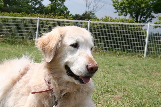 ファイル 562-4.jpg