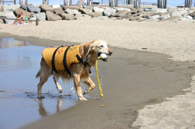 ファイル 562-5.jpg