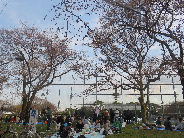 ファイル 5620-1.jpg