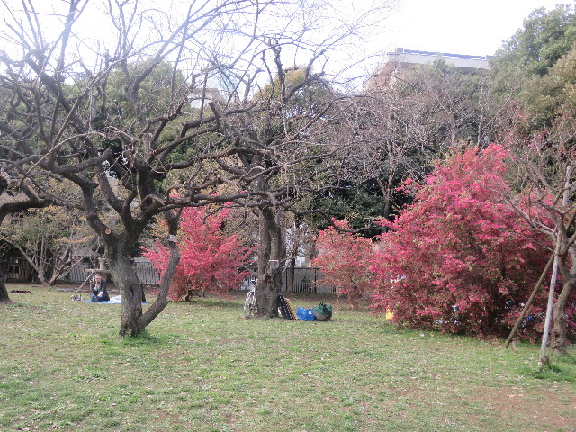 ファイル 5620-3.jpg