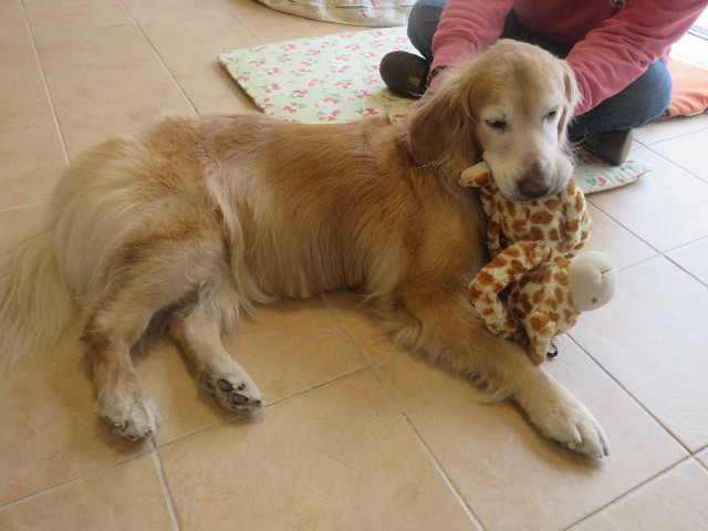 ファイル 5621-1.jpg