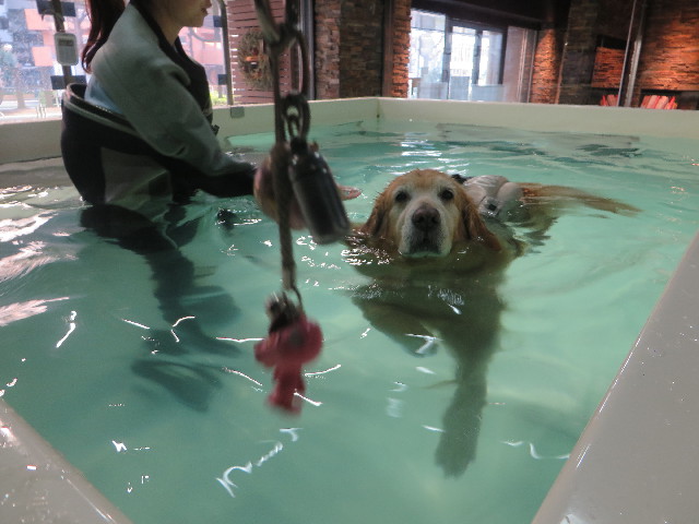 ファイル 5621-3.jpg