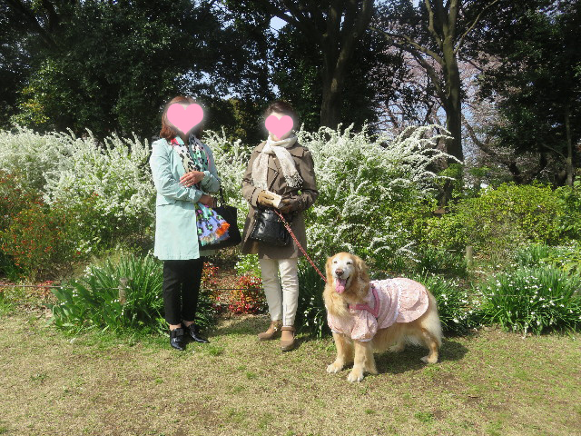 ファイル 5623-2.jpg