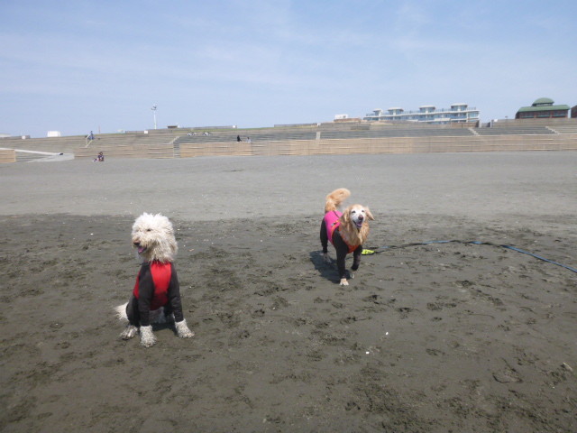 ファイル 5625-5.jpg