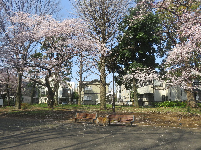 ファイル 5626-1.jpg