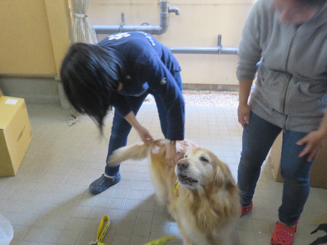 ファイル 5626-4.jpg