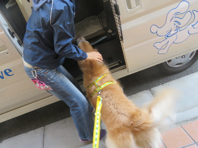 ファイル 5626-5.jpg