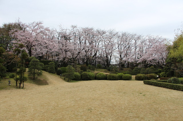 ファイル 5629-1.jpg