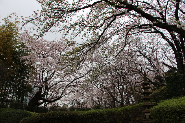 ファイル 5629-3.jpg