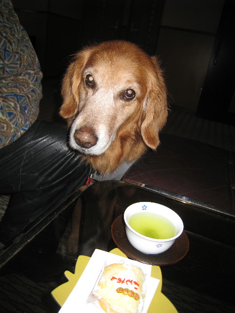 ファイル 563-2.jpg