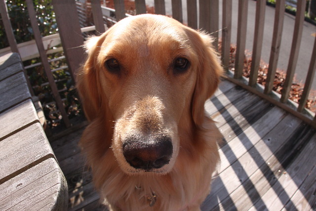 ファイル 563-3.jpg