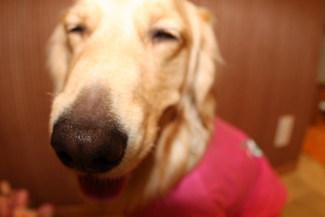 ファイル 563-4.jpg