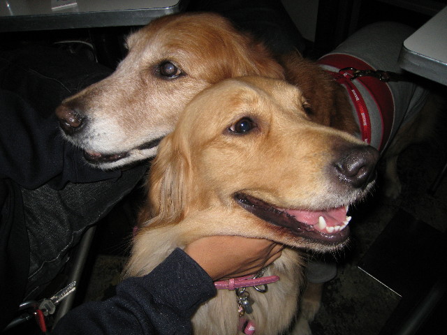 ファイル 563-5.jpg