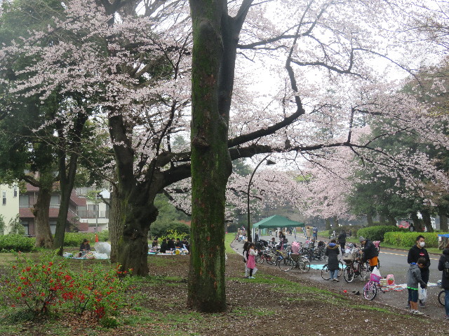 ファイル 5630-2.jpg