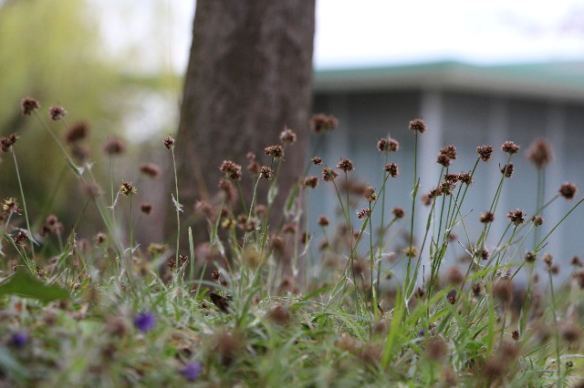 ファイル 5631-3.jpg