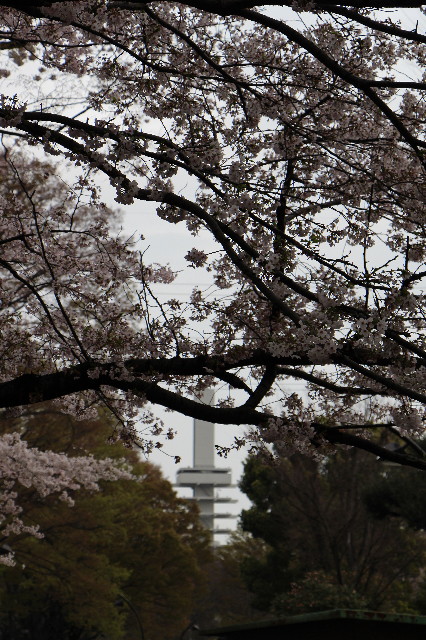 ファイル 5633-1.jpg