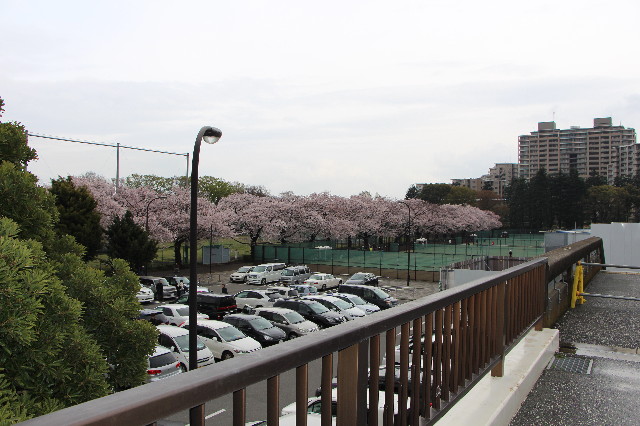 ファイル 5633-2.jpg