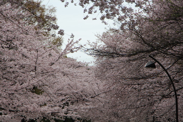 ファイル 5633-3.jpg