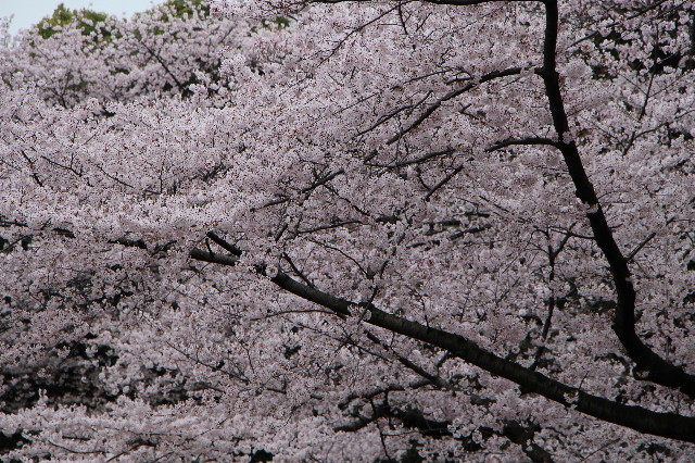 ファイル 5633-4.jpg