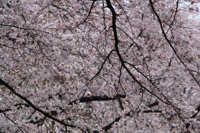 ファイル 5633-5.jpg