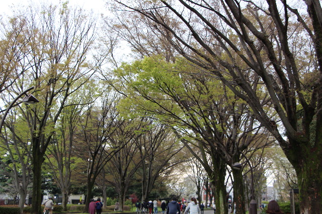 ファイル 5634-1.jpg