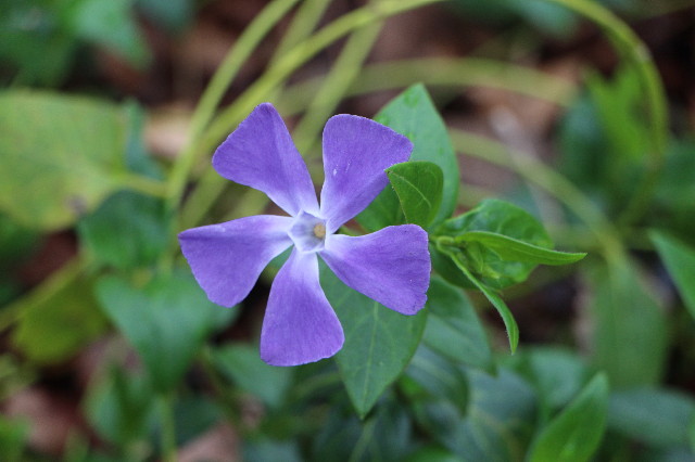 ファイル 5634-3.jpg