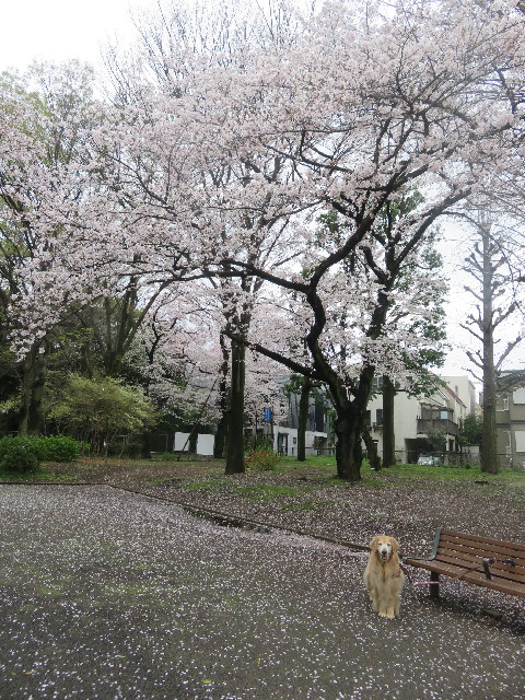 ファイル 5636-2.jpg