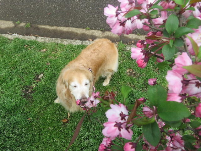 ファイル 5636-5.jpg