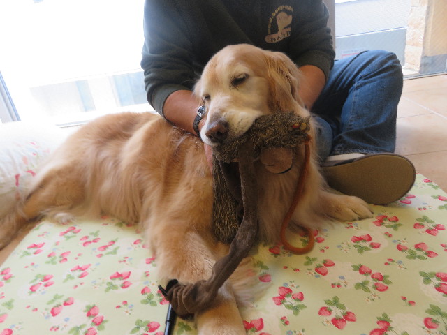 ファイル 5637-1.jpg