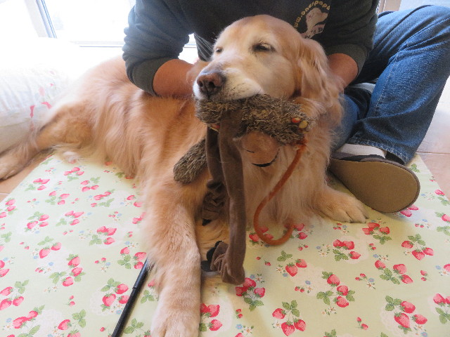 ファイル 5637-2.jpg