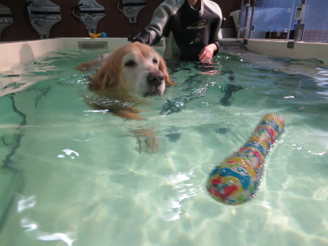 ファイル 5637-4.jpg