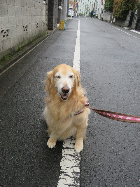 ファイル 5638-4.jpg