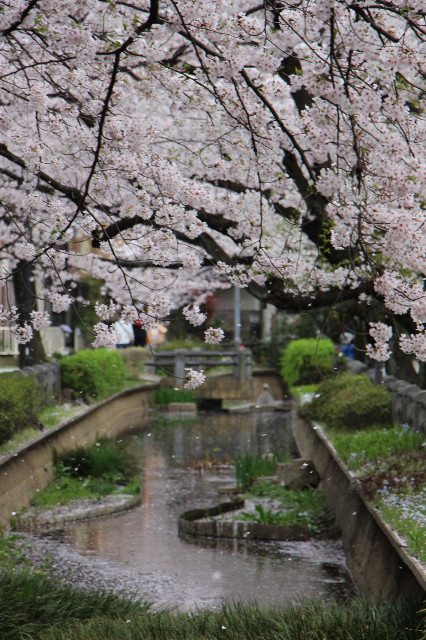 ファイル 5641-1.jpg