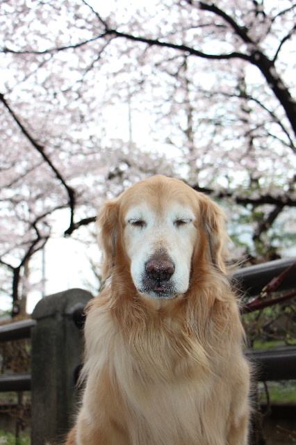 ファイル 5641-2.jpg