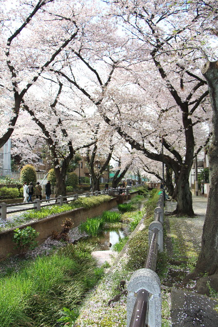 ファイル 5641-5.jpg