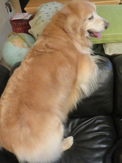 ファイル 5643-2.jpg