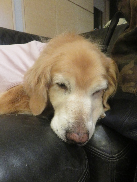 ファイル 5643-3.jpg