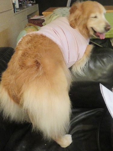 ファイル 5643-4.jpg