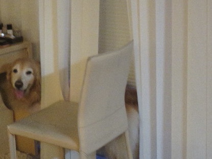 ファイル 5643-5.jpg