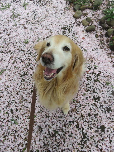 ファイル 5647-2.jpg