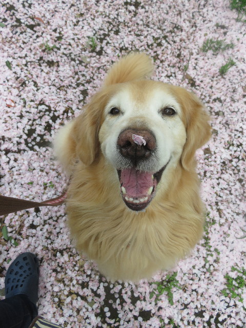 ファイル 5647-4.jpg